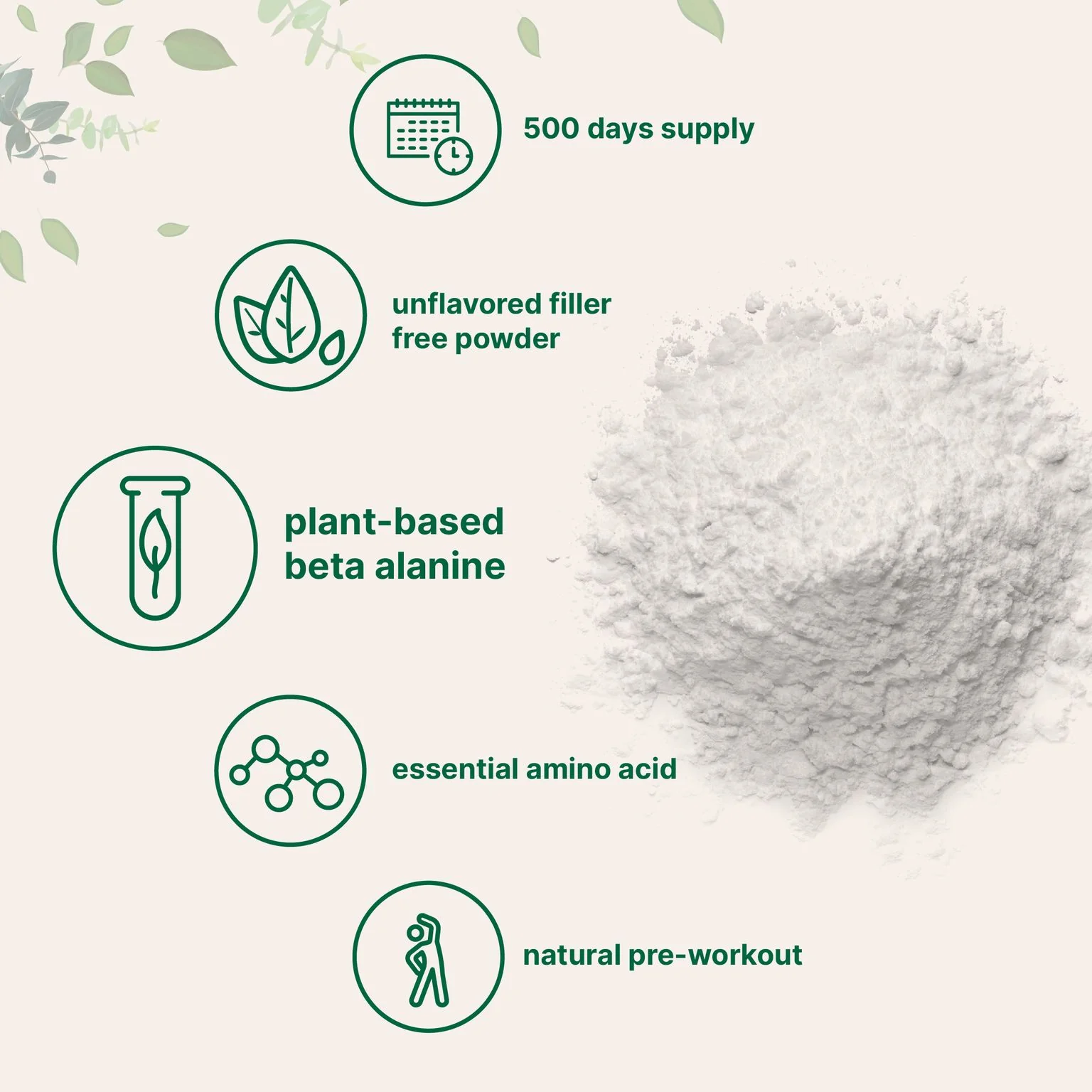Beta Alanine Powder_1
