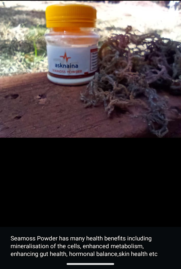 Seamoss Powder