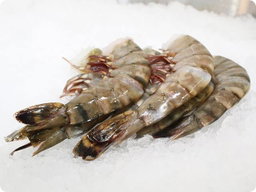 Prawns