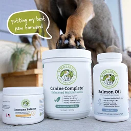 Wholistic Bundle