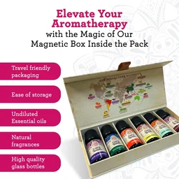 6 ESSENTIAL OILS SINGLE NOTES SET