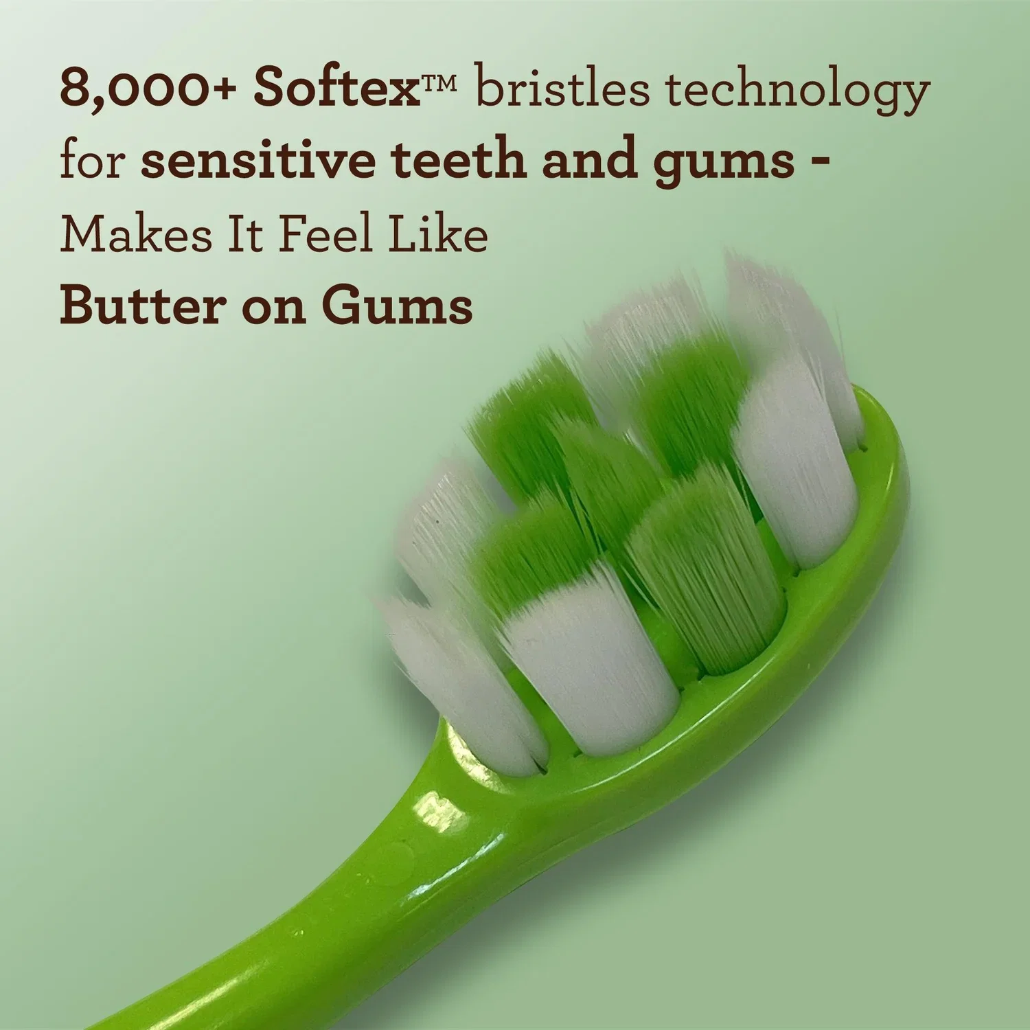 BUTTER ON GUMS TOOTHBRUSH (8 COUNT)_1