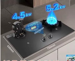  Inbuilt Gas Burner