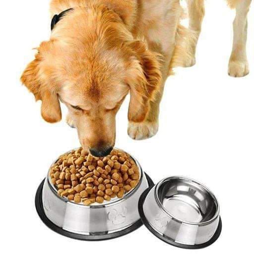 Stainless Steel Pet Basin_1