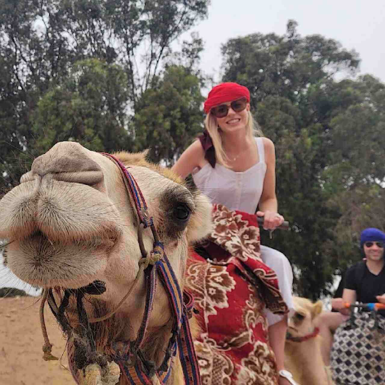 AGADIR OR TAGHAZOUT: FLAMINGO RIVER CAMEL RIDE WITH TEA & CAKES_0