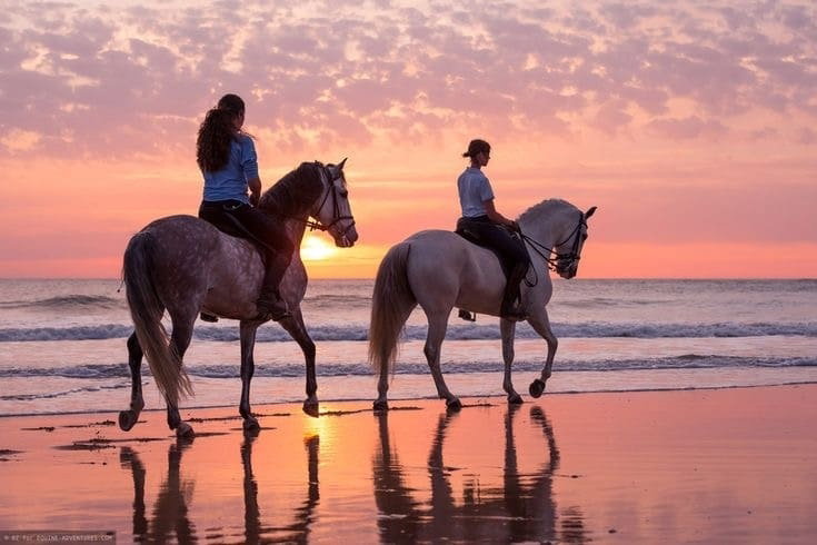 AGADIR OR TAGHAZOUT: FLAMINGO RIVER HORSE RIDE WITH TEA & CAKES