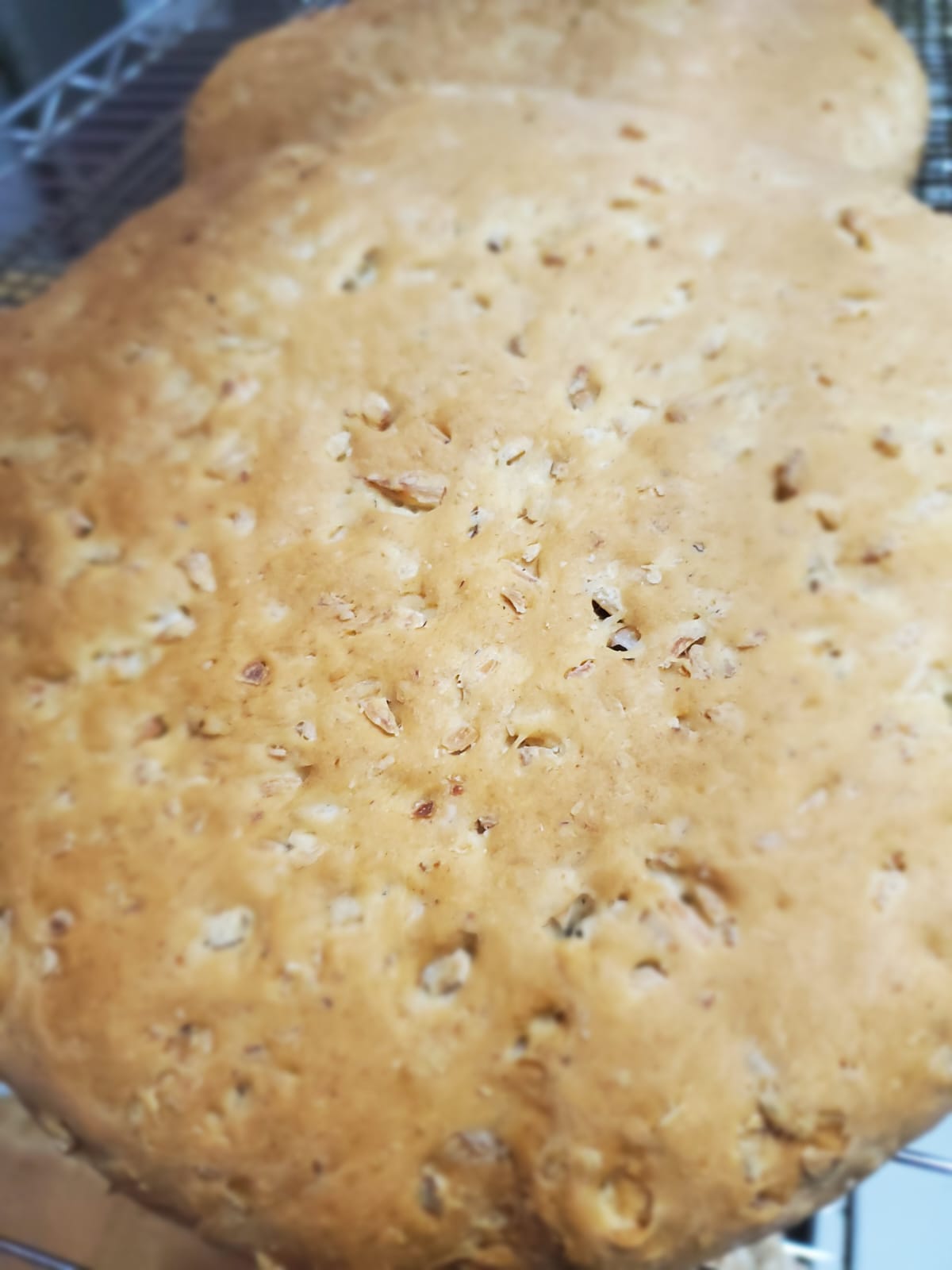 Large Cassava & Oat Flour Coconut Bake [Gluten-free]_0
