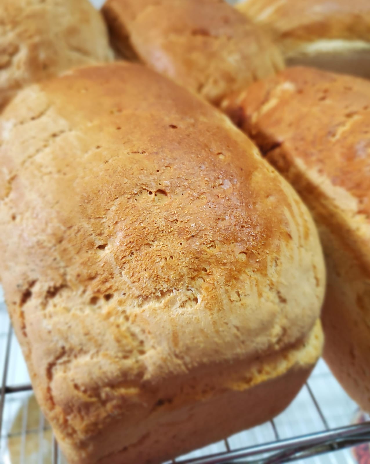 Cassava Loaf_0