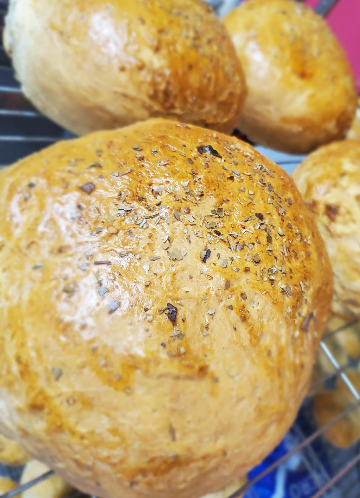 Oat Garlic Rolls_1