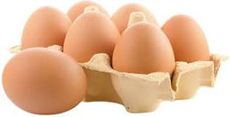 Poultry 