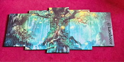 Colourful  Panels  Wall Arts Frames