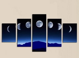 Colourful  Panels  Wall Arts Frames