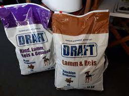 Dog Draft Lamm & Reis 