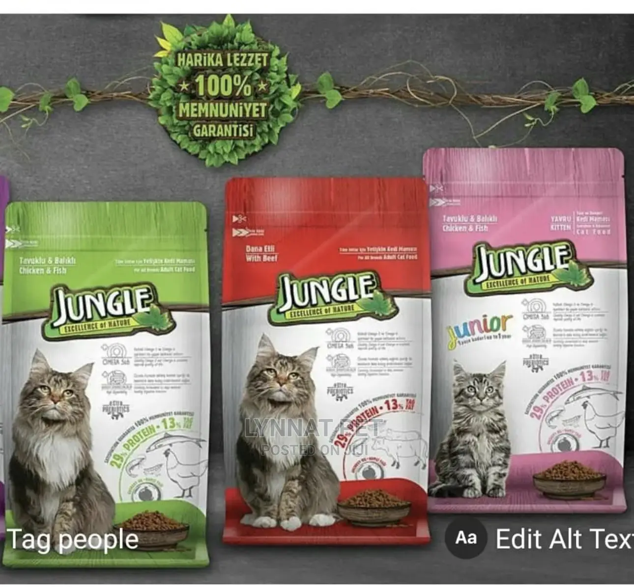 Jungle Cat and Kittens Dry Food_0