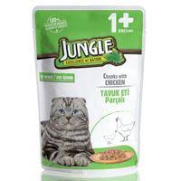 Jungle Cat and Kittens Dry Food_4