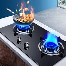 Double Electric Gas Stove_0