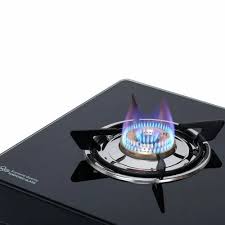 Double Electric Gas Stove_4