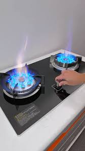 Double Electric Gas Stove_2