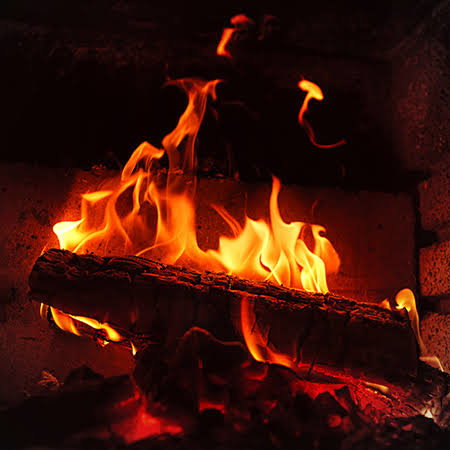 Fire Wood_0