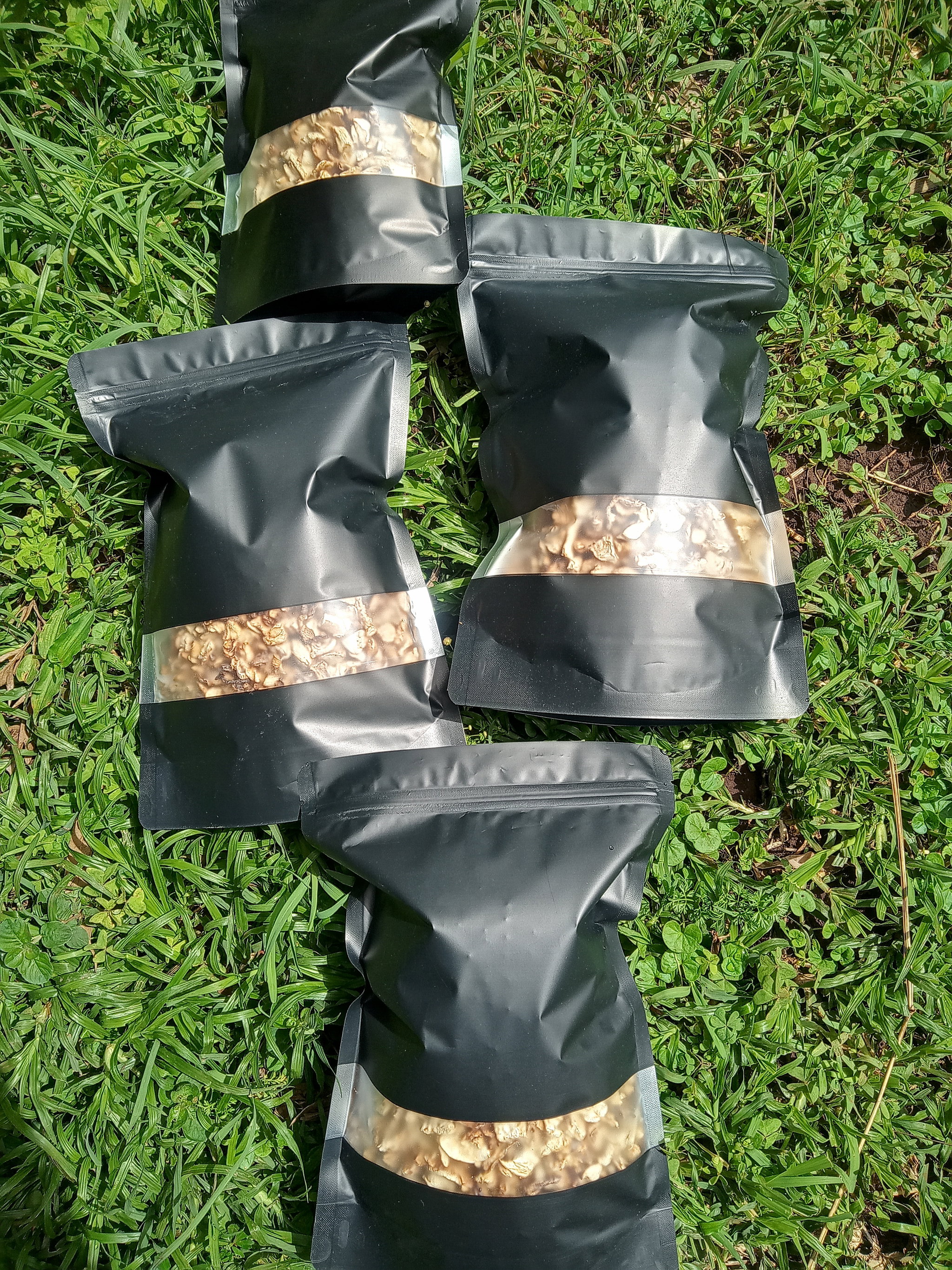 1Month Daily Mushroom Supply  _1