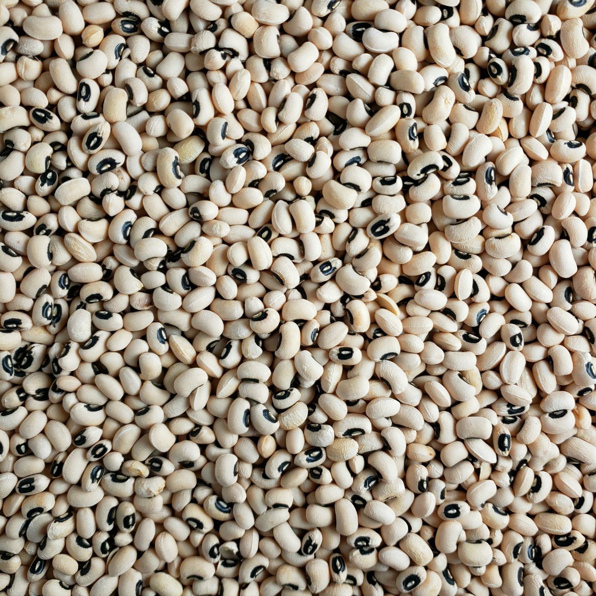 Cereals & Grains_3