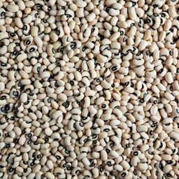 Cereals & Grains