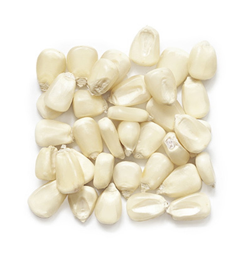 Cereals & Grains_16