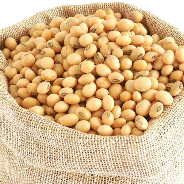 Cereals & Grains_20