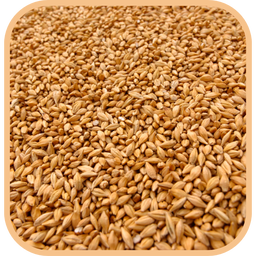 Cereals & Grains