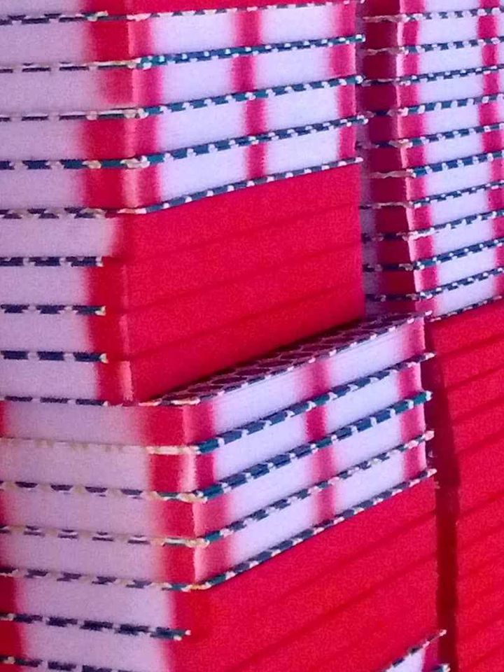 Foolscap Notebooks_1