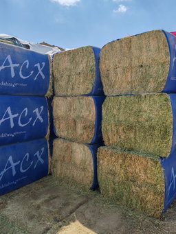 Alfalfa U.S.A 450 kg