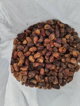 Dates tumer