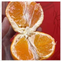  Asumi明子见特级蜜柑( -+2kg )