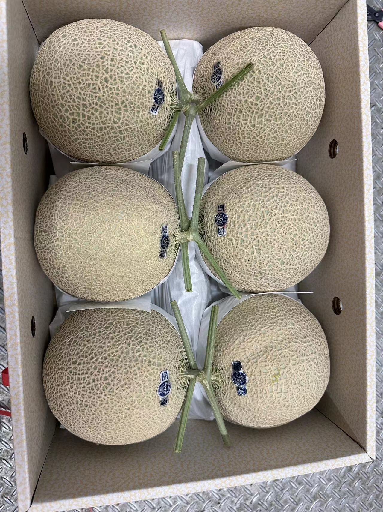 日本空运静冈皇冠蜜瓜 （ 1粒 ）_3