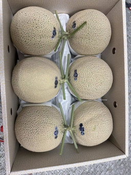 日本空运静冈皇冠蜜瓜 （ 1粒 ）
