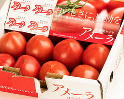 日本空运AMELA 高糖度番茄 （ 1kg/box ） 