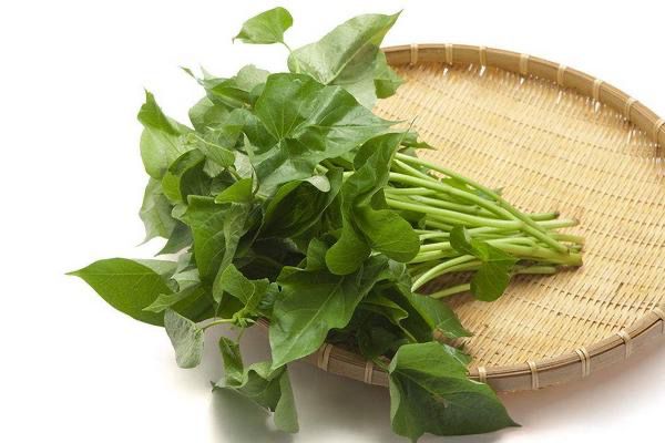 番薯叶 ( 1kg )