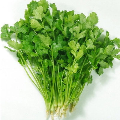 中国香菜 ( -+1kg / 包 )