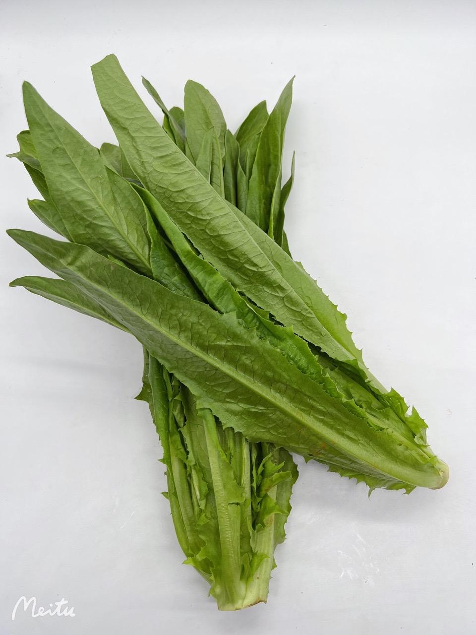 油麦菜 （ 1kg+- ）_0