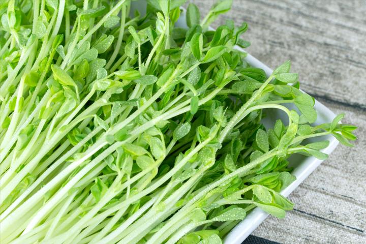 有机豆苗( 1 盒 )