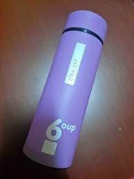 Glass Bottle Vacuum Flask 