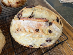 Dark Choc Chip Sourdough