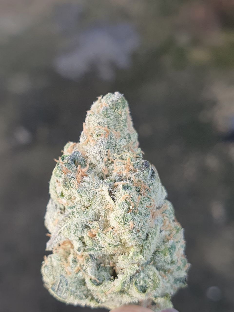 GREEN GOBLIN _0