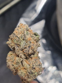Trainwreck 