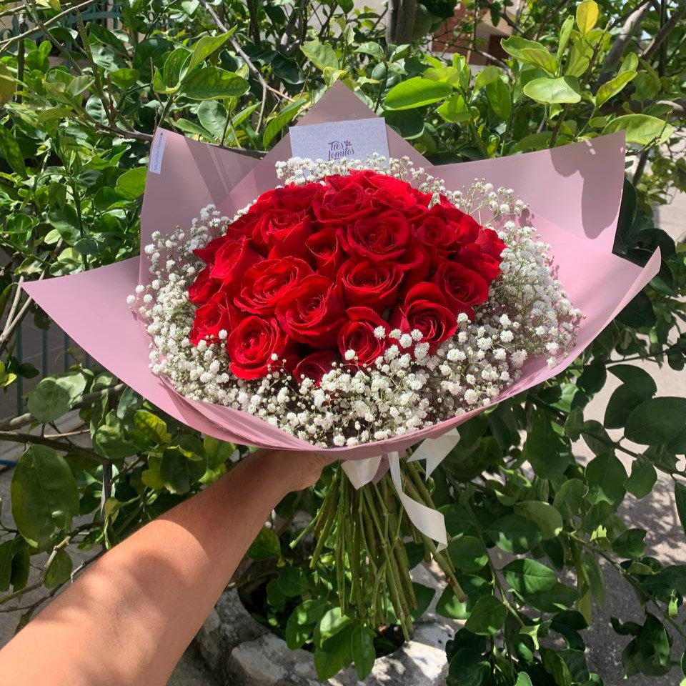 24 rosas con Gypso_0