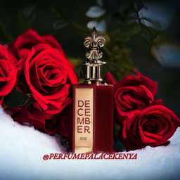 DECEMBER ROSE BY PARIS CORNER 