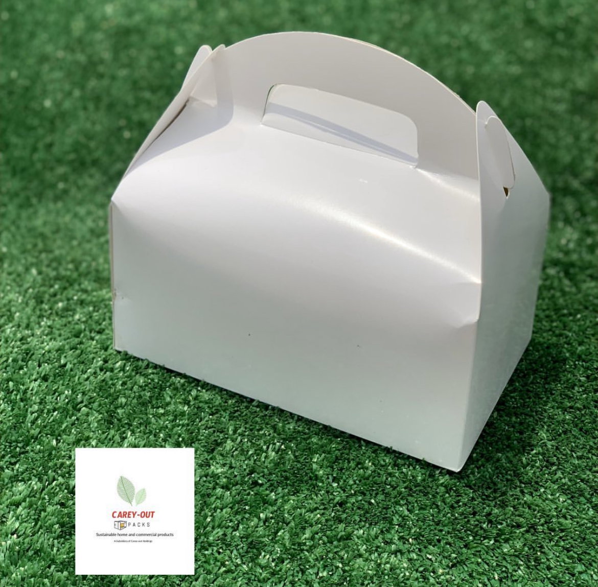 TAKEOUT GABLE BOXES - PLAIN WHITE _11