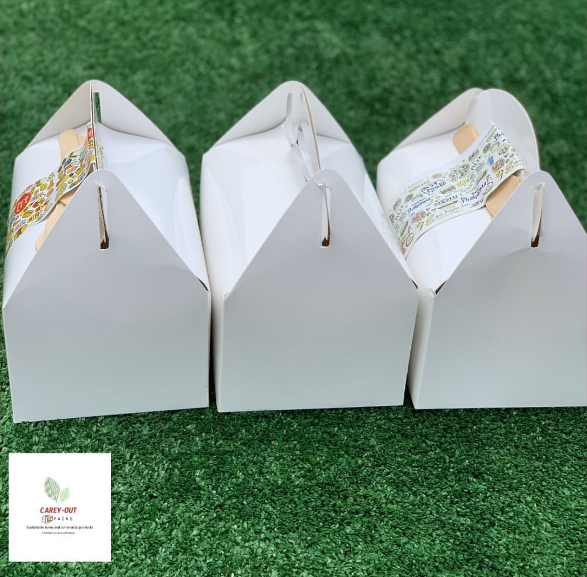 TAKEOUT GABLE BOXES - PLAIN WHITE _8