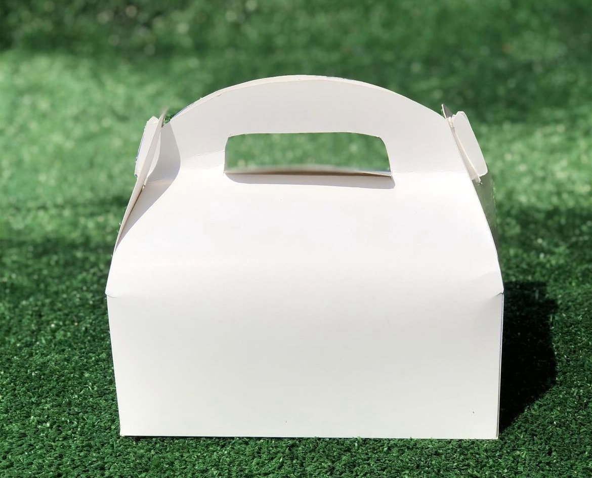 TAKEOUT GABLE BOXES - PLAIN WHITE _5
