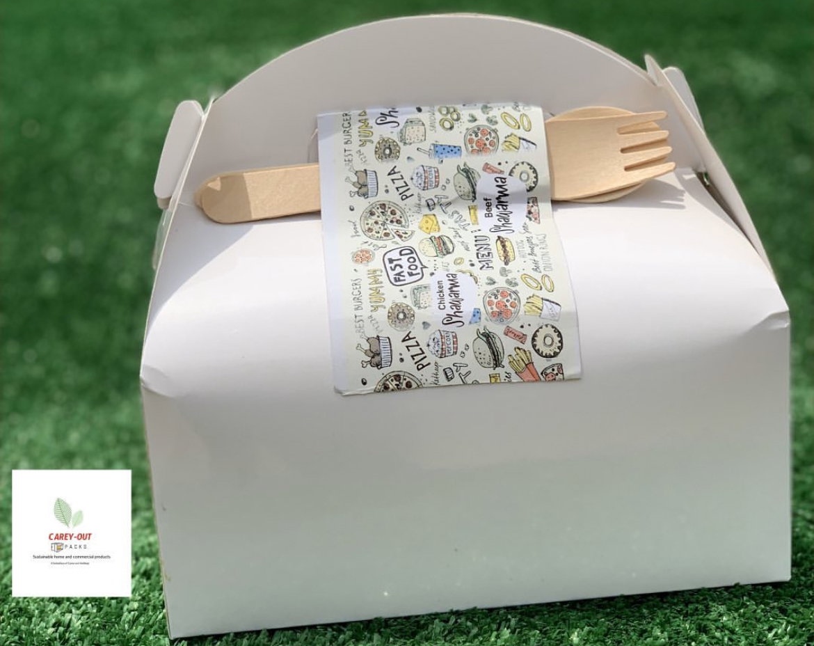 TAKEOUT GABLE BOXES - PLAIN WHITE _10